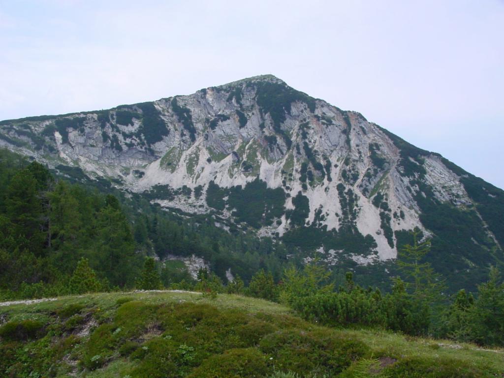Blick zurück zum Gipfel von der Handleralm
