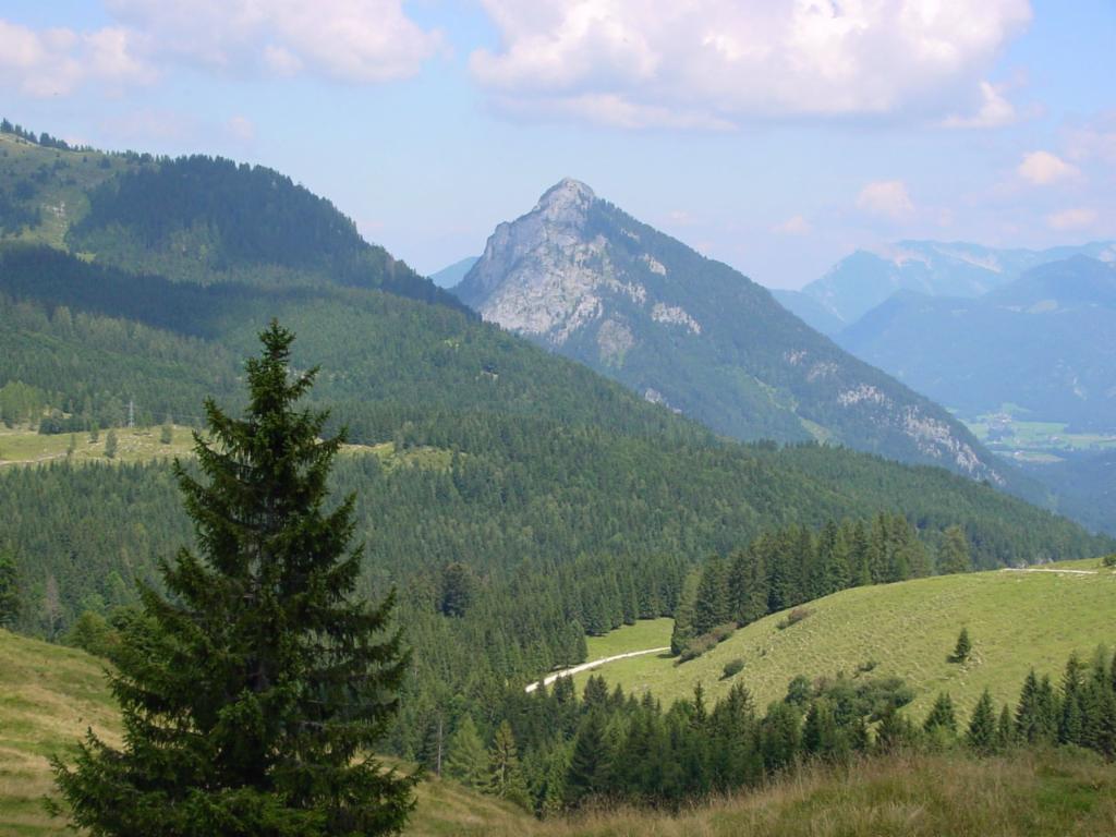 Sparber vom Aufstieg