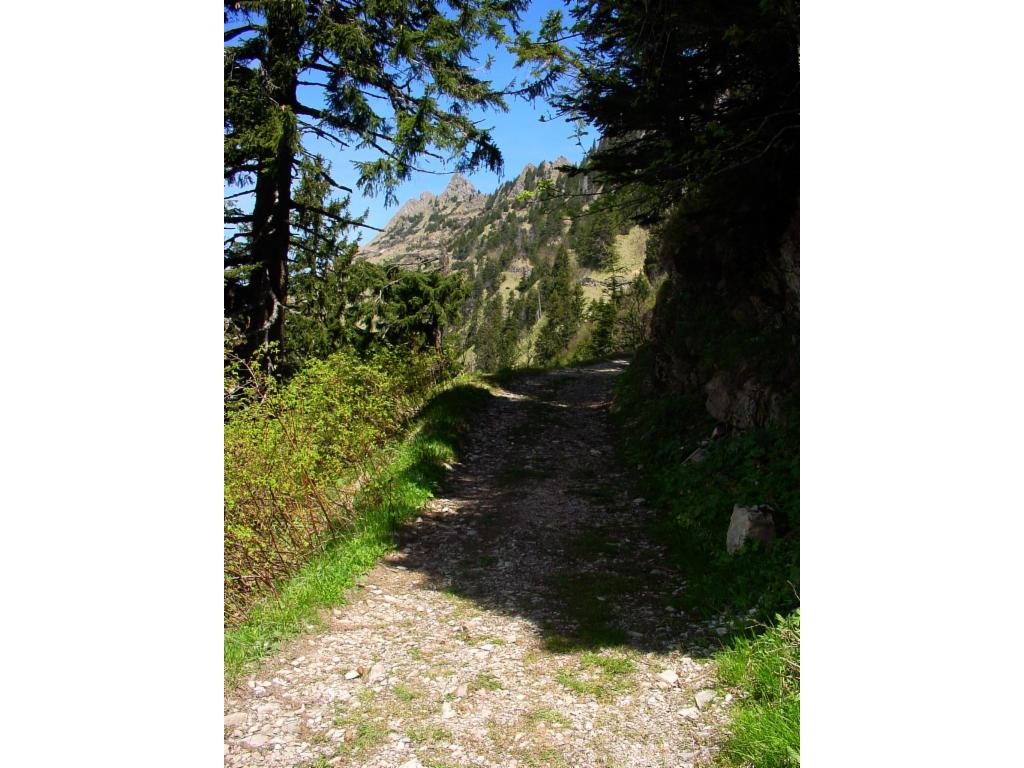 Montée en VTT