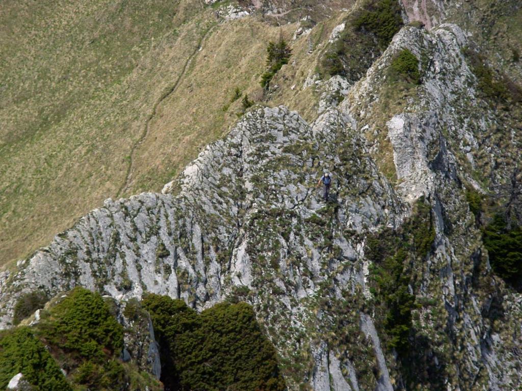 La crête aérienne