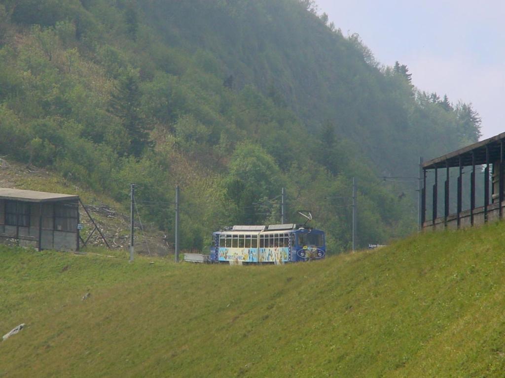 Train montant aux Rochers de Naye, 2042m