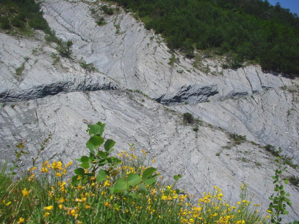 ...coupé dans la roche
