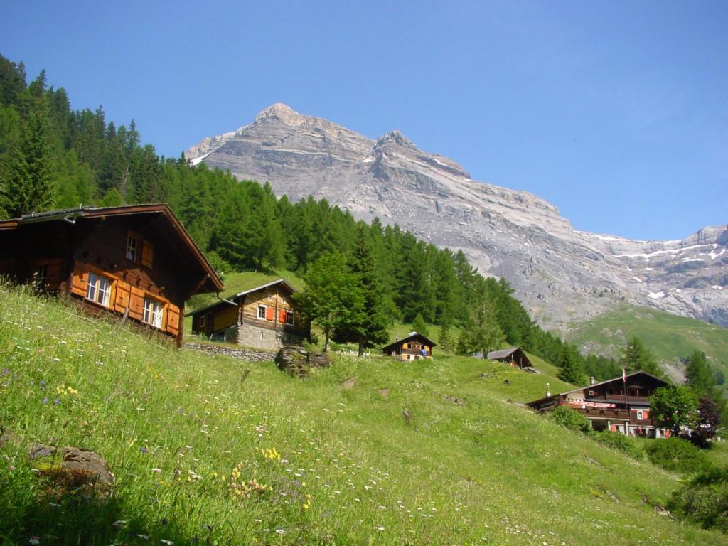 Des chalets à Derborence, à l'arrière-plan les Diablerets