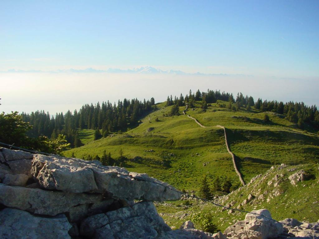 Pendant la montée