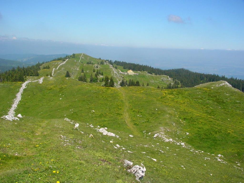 Croupe nordest du Mont Tendre