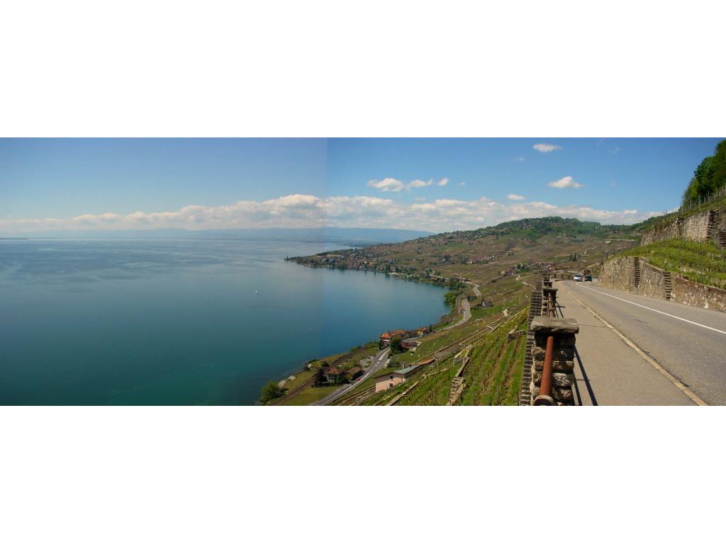 Les vignobles du Lavaux