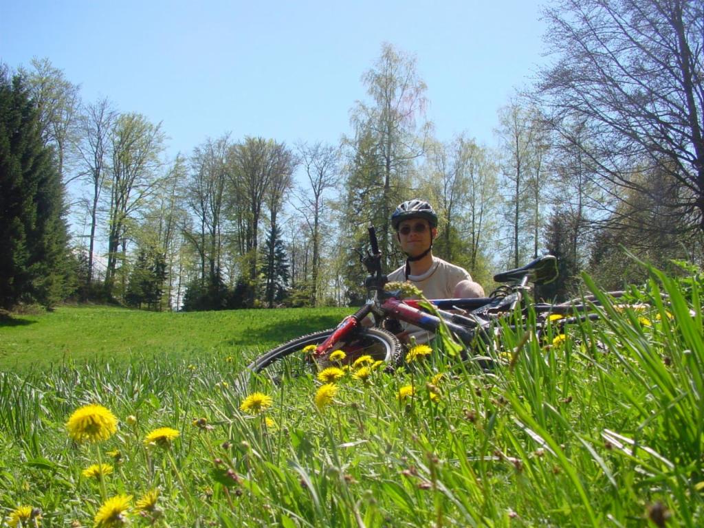 Une pause sur un pré