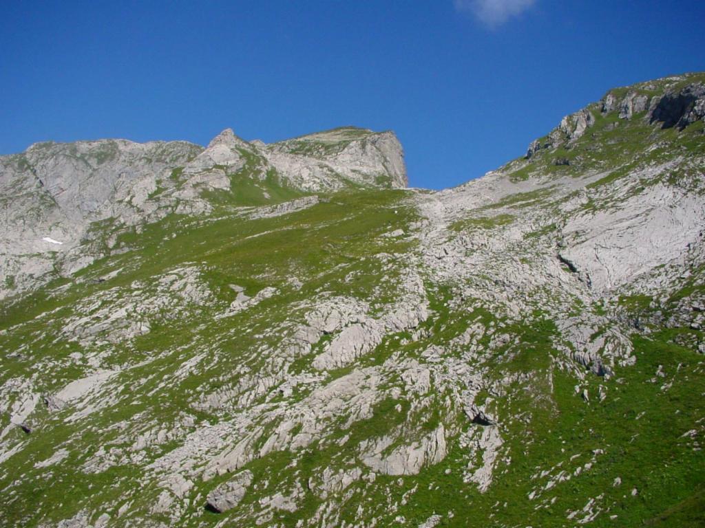 Cornettes de Bise depuis la descente