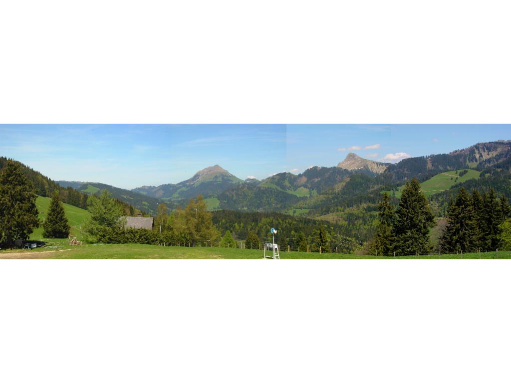 Vue de la montée vers le Moléson et la Dent de Lys