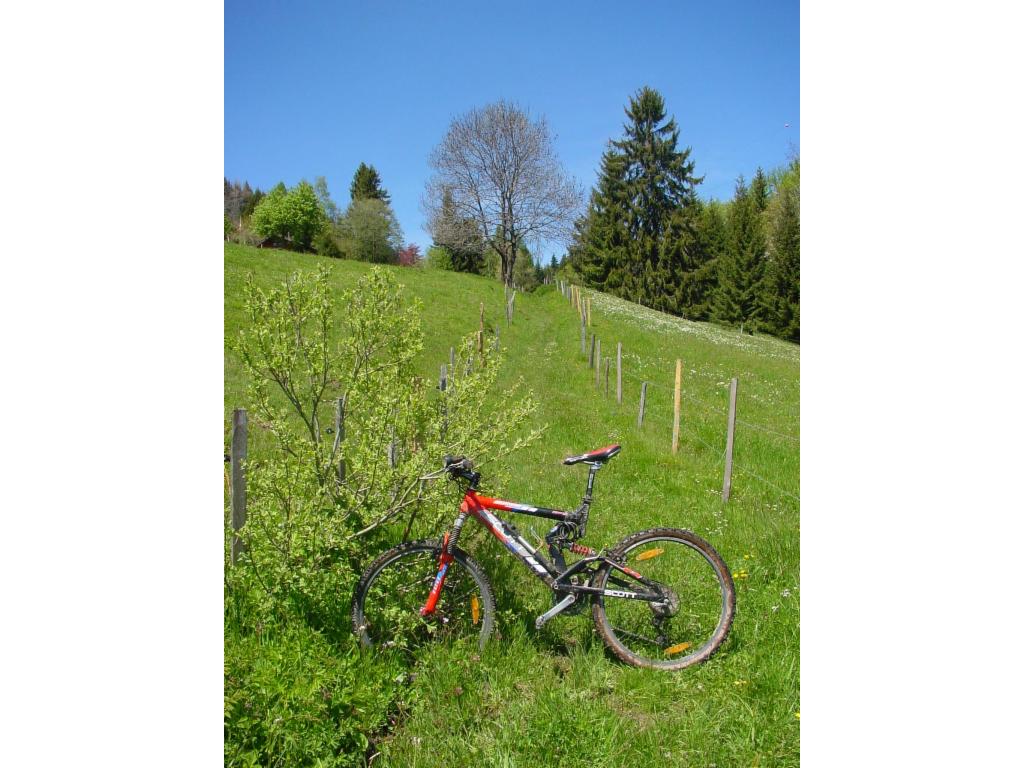 Raccourci raide à travers des alpages de Riaux