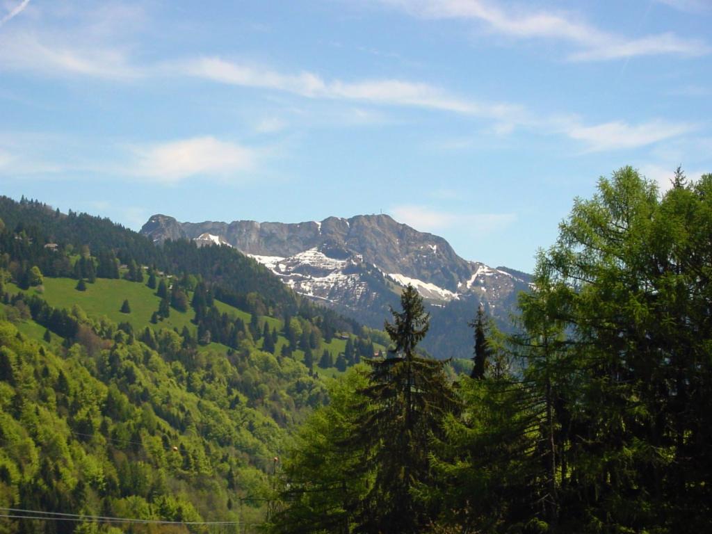 Les Rochers de Naye, pendant la montée