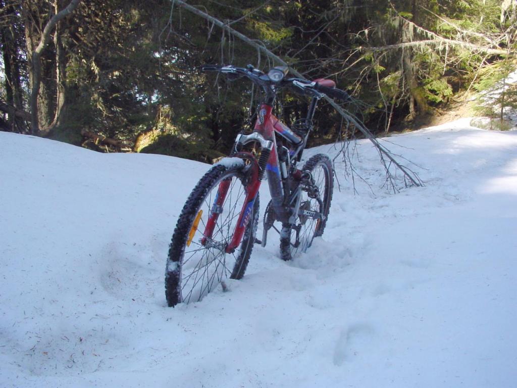 Enfoncé dans la neige