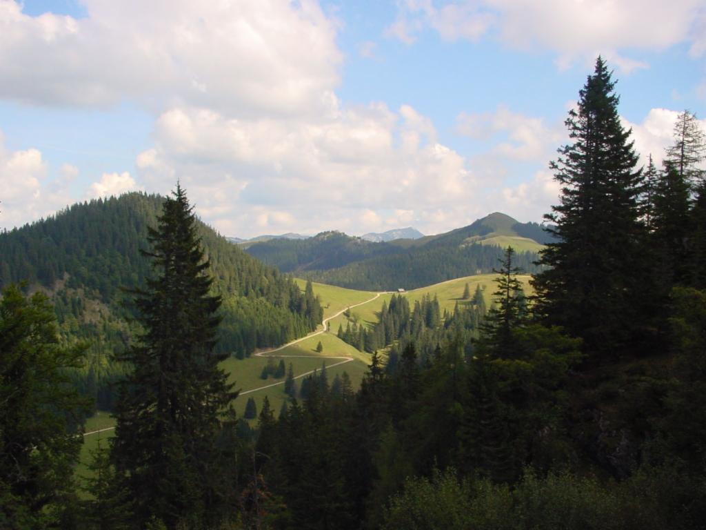 Dürrieglalm und Kl. Königskogel vom Abstieg