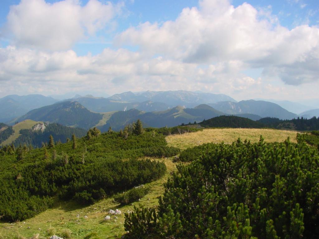 Schneealpe