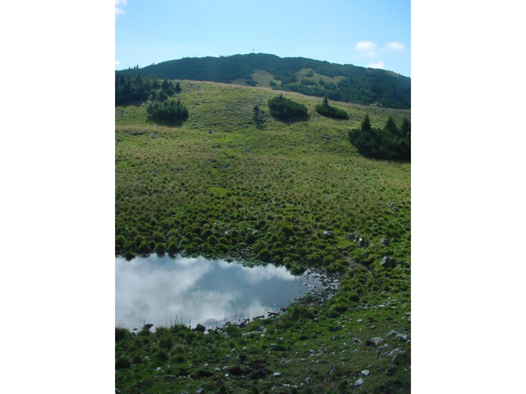 Gipfelkreuz in Sicht