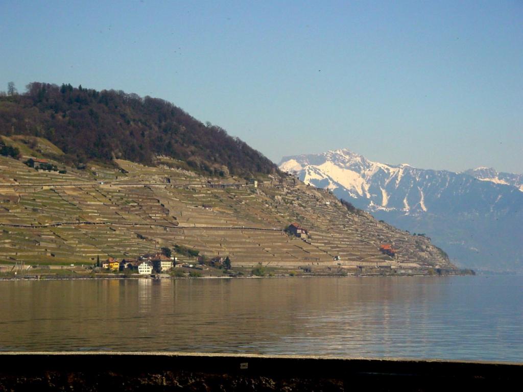 Terrasses viticoles du Lavaux et Rochers de Naye depuis Cully