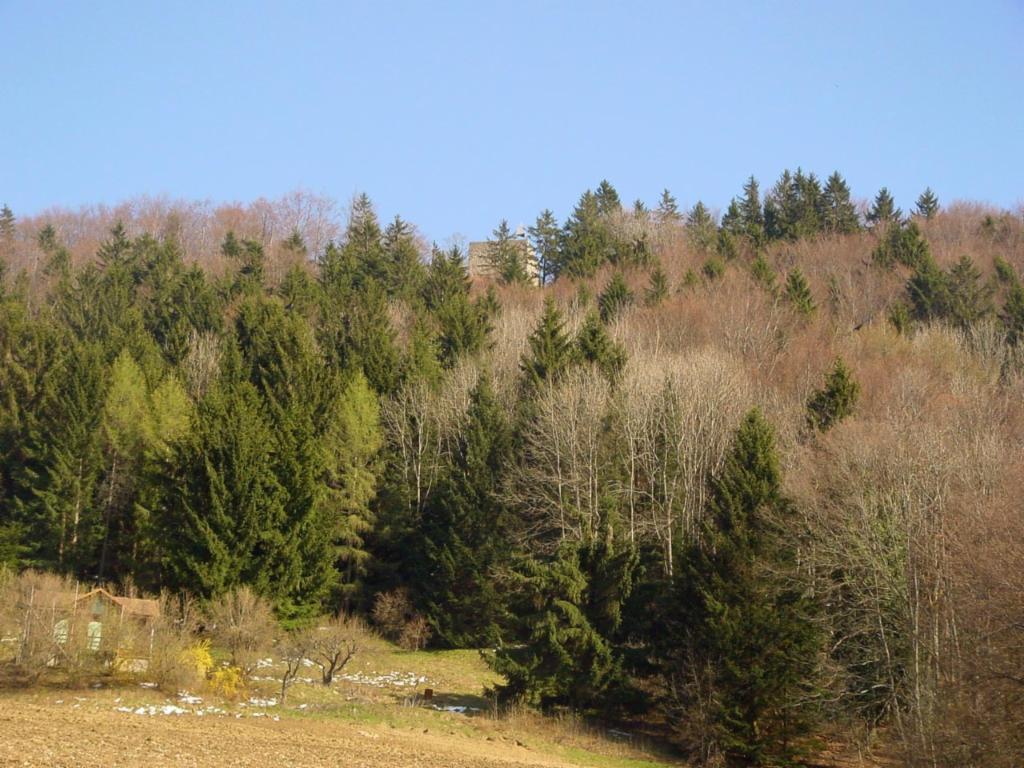 La tour sur le sommet de Tour de Gourze depuis la descente
