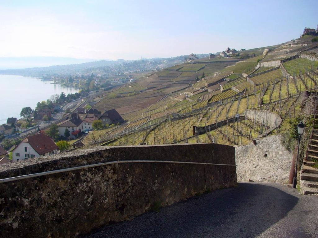 Les vignobles et Lausanne d'au-dessus de Villette