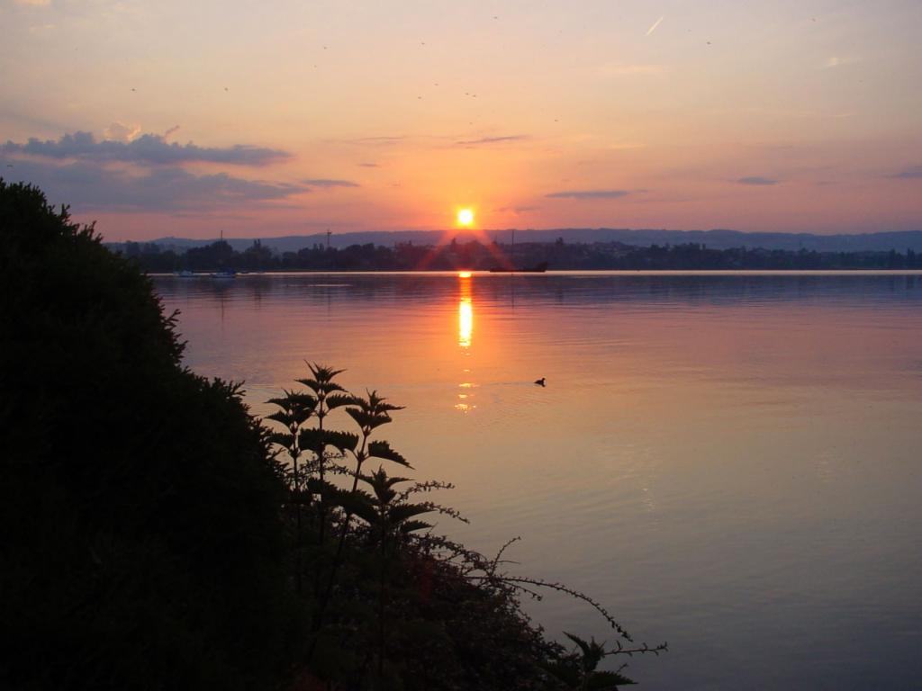 Morges, Il se lève. 9km, 6:06