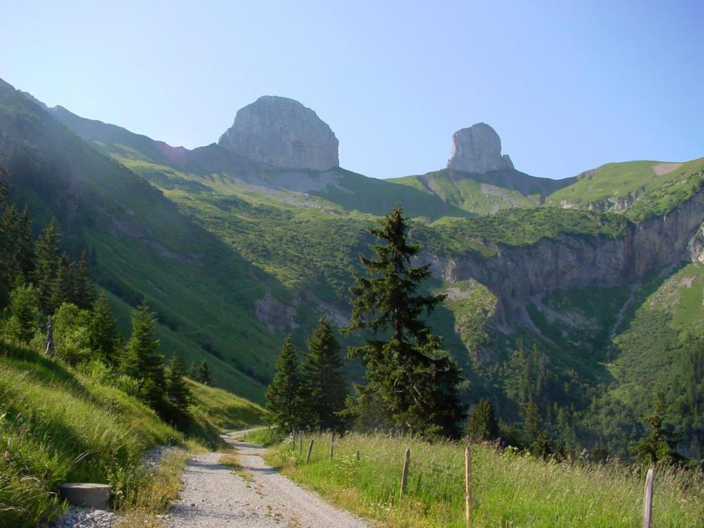 Tour de Mayen et Tour d'Aï depuis la montée au-dessus d'Argnaule