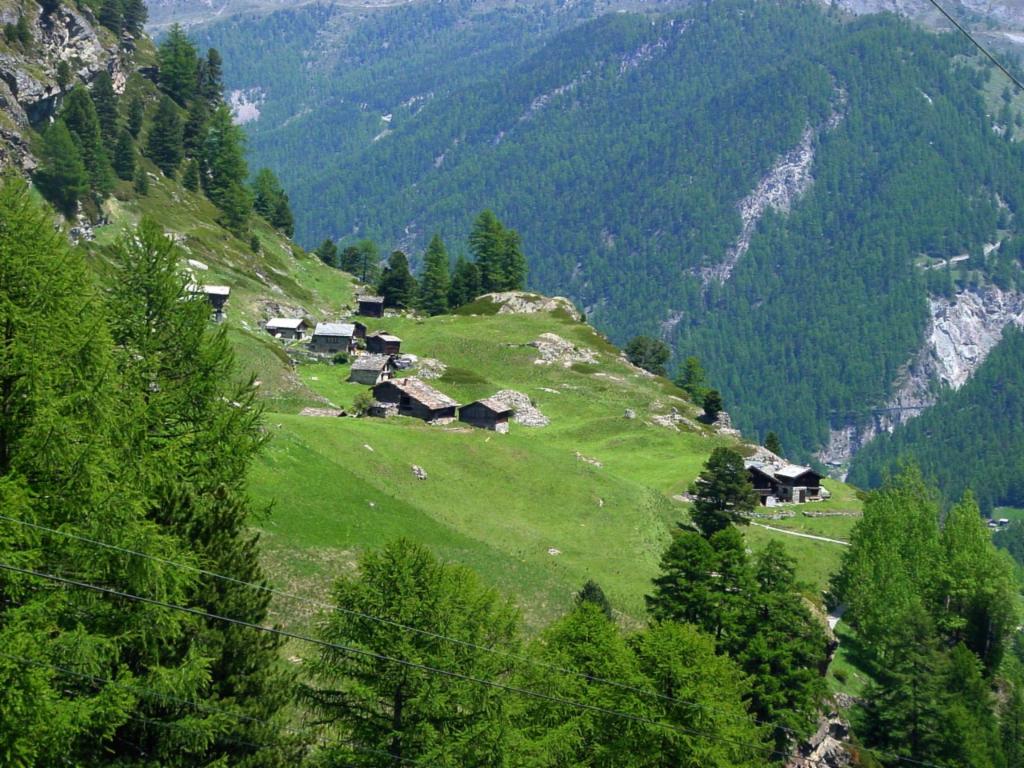 Almhütten bei Zmutt