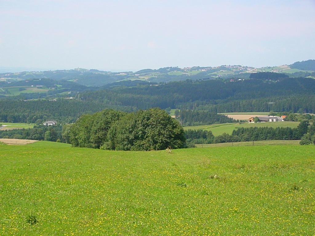 Blick zum Kollmitzberg und nach Neustadtl