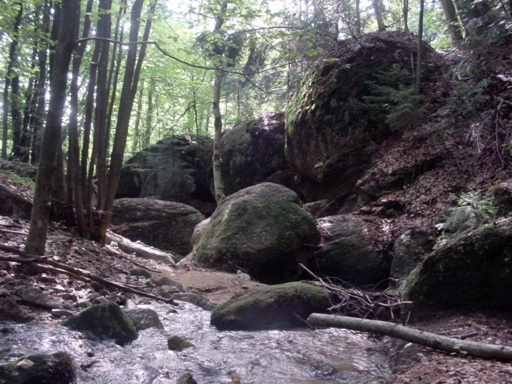 Blick zurück zur Stoananen Stubn