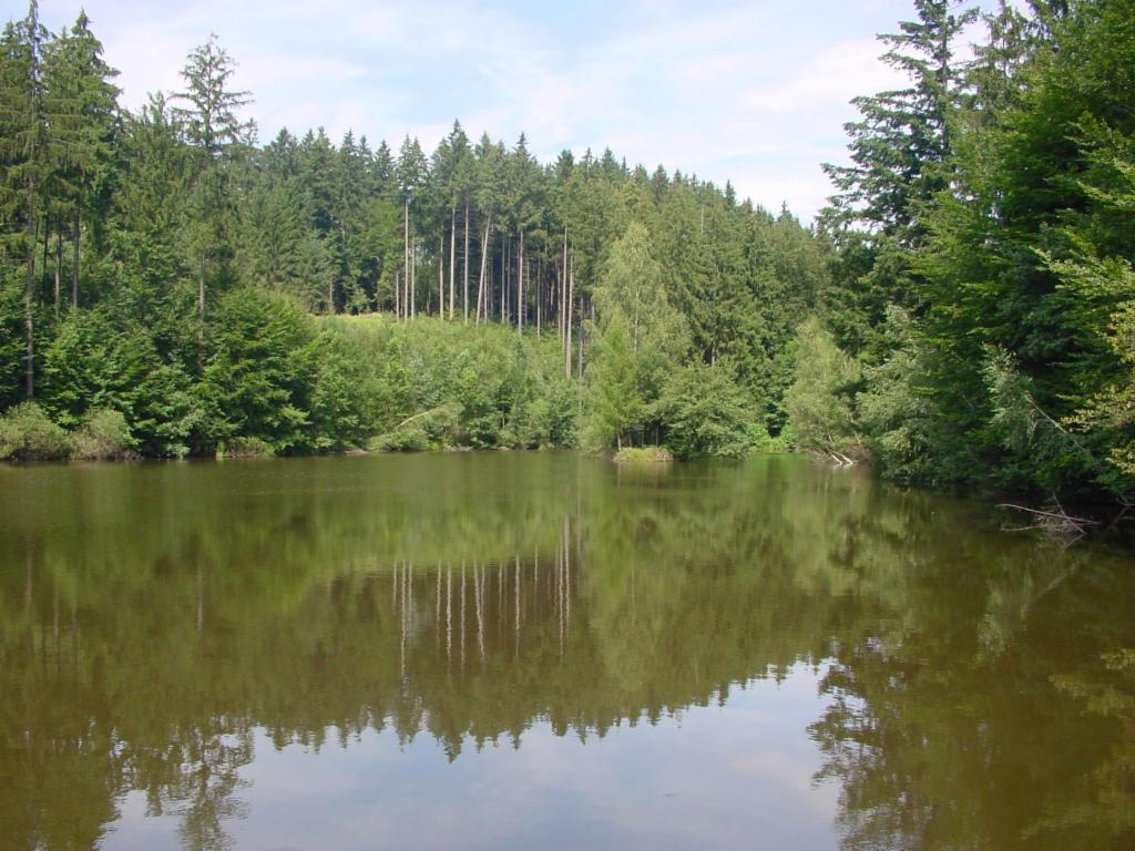 Teich bei Fürholz