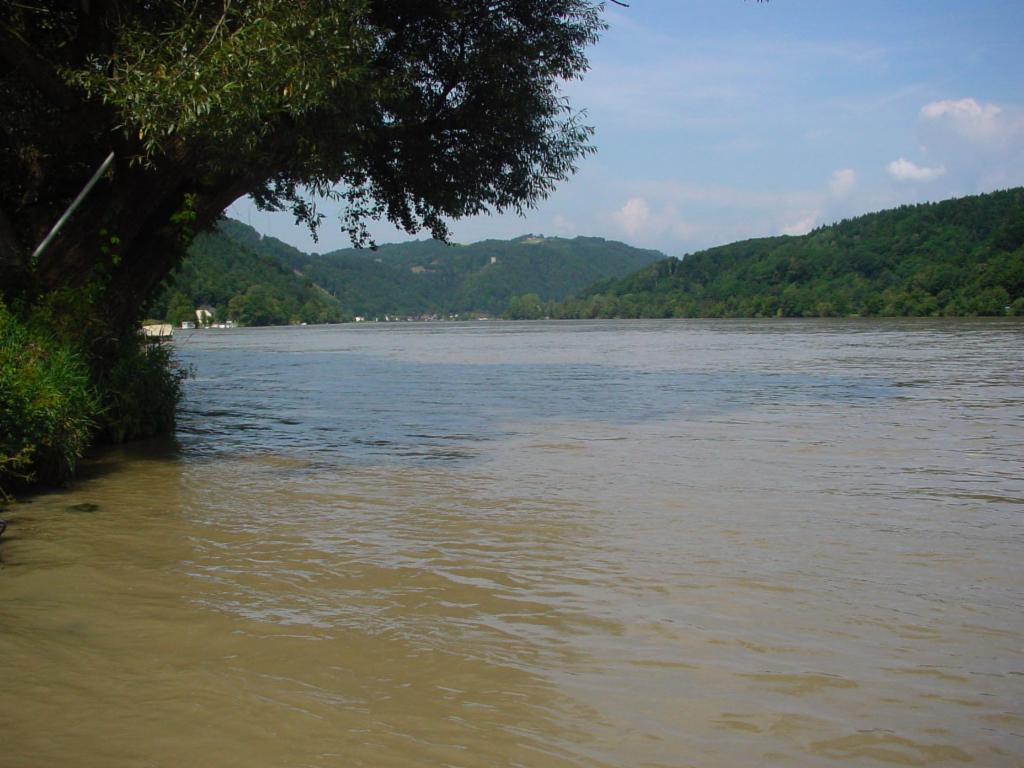 Donau bei Willersbach