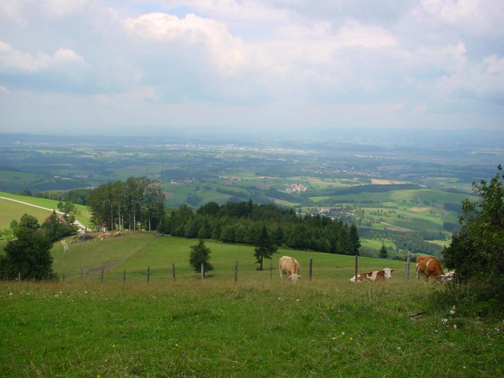Blick vom Hochkogel nach Amstetten