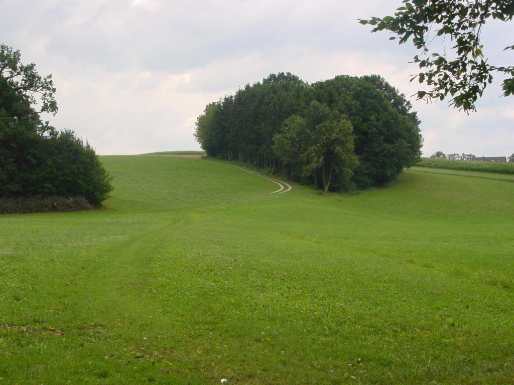 Feldweg nach Grießenberg