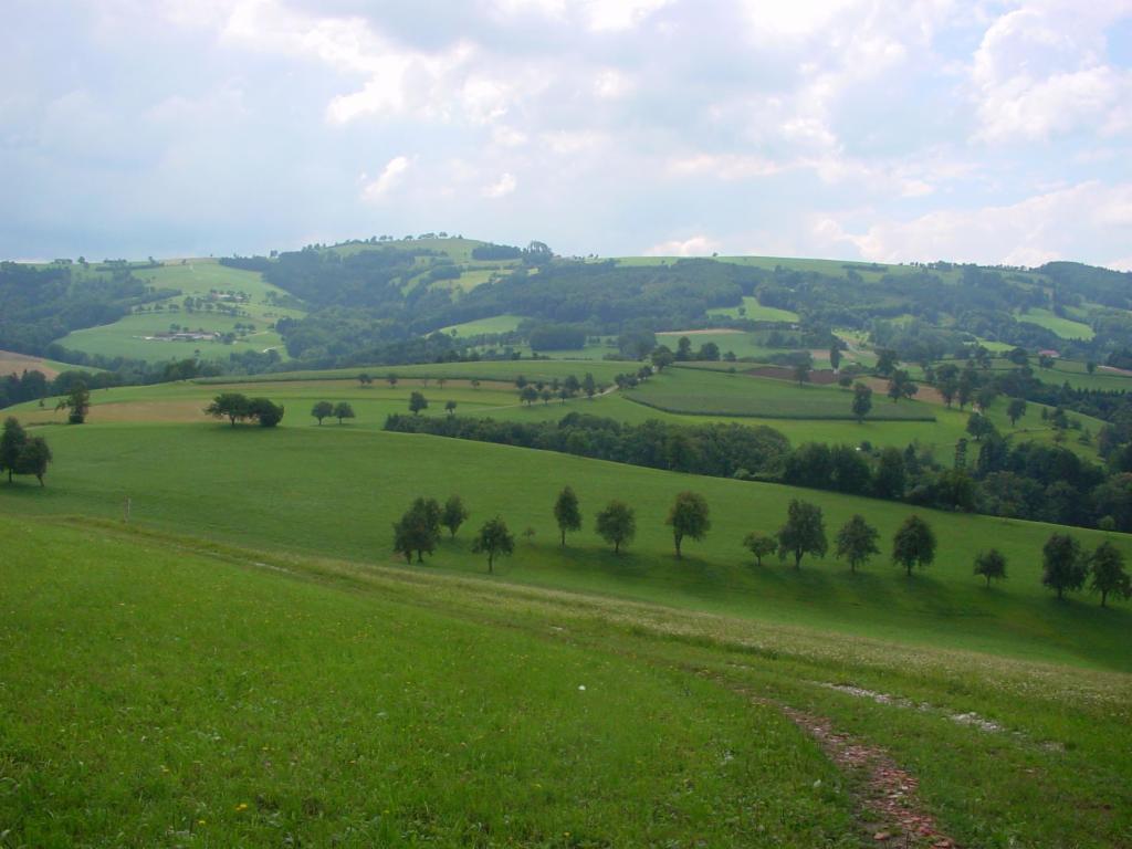 Blick zum Gipfel