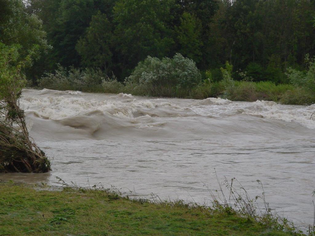 Hochwasser-führende Ybbs
