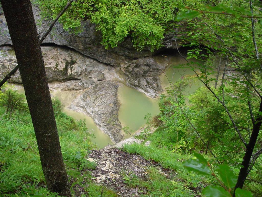 Grünes Wasser