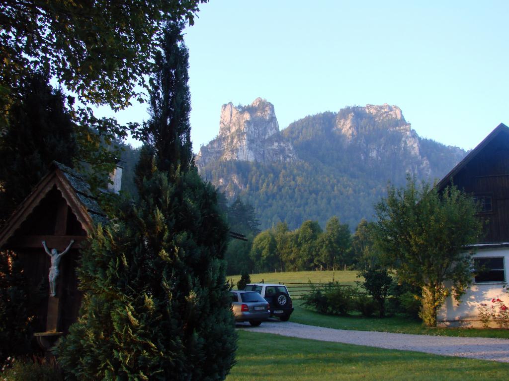Ahornhof und Turmmauer