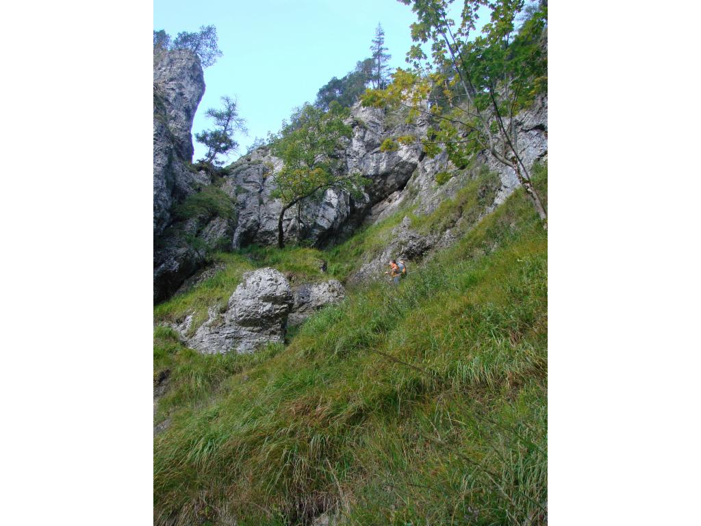 Steilwiesenaufstieg zur Felsscharte