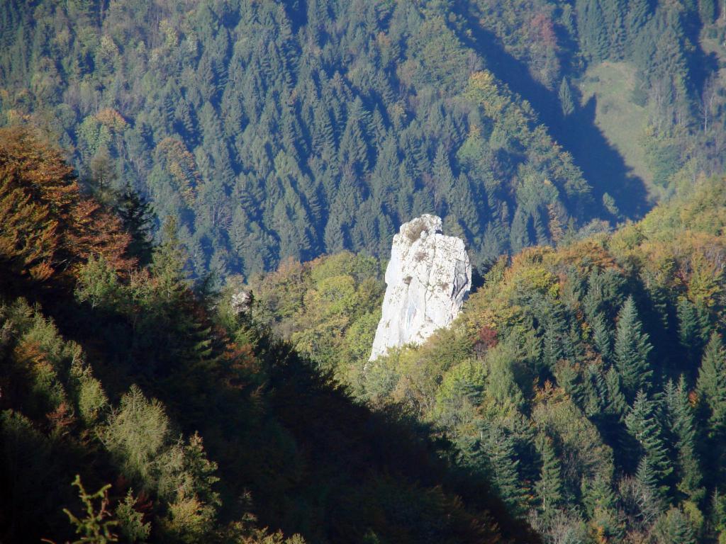 Pfenningstein von oben