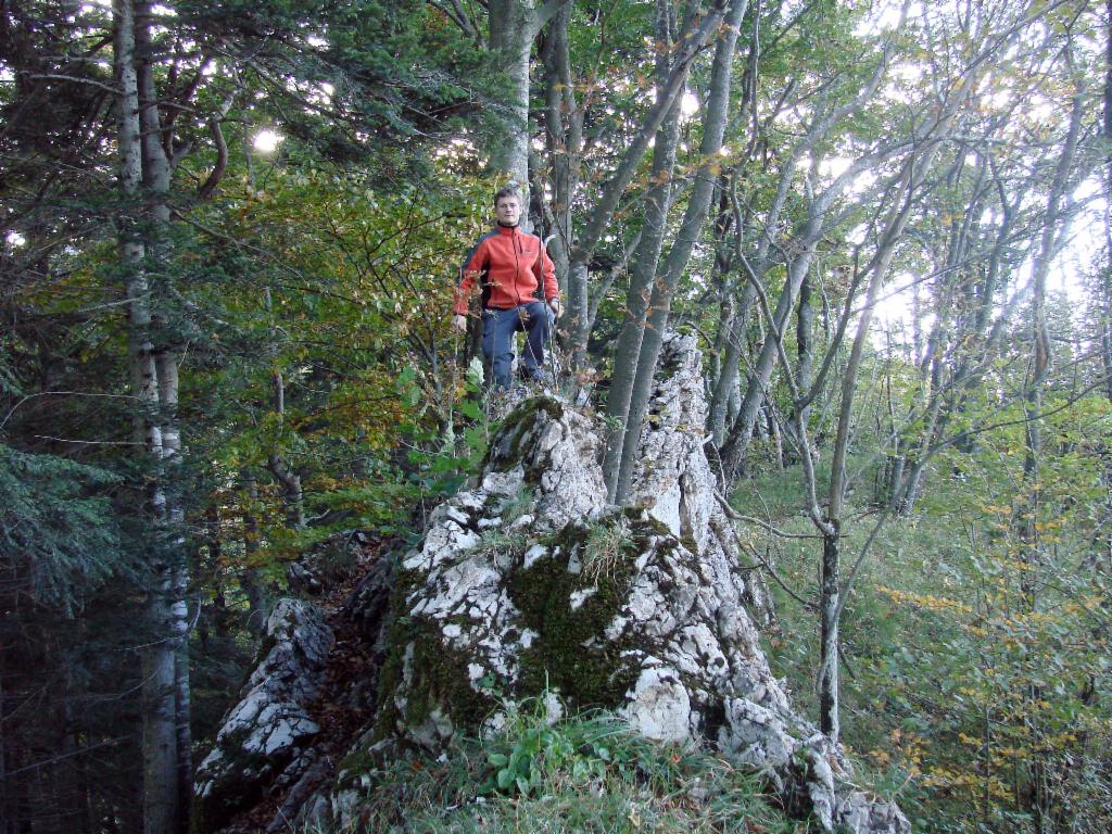 Aufstieg auf schmalem Waldgrat