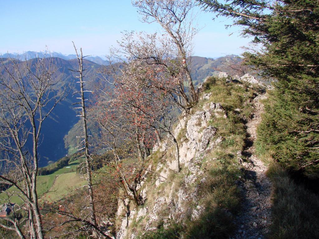 Der Blick wird freier...