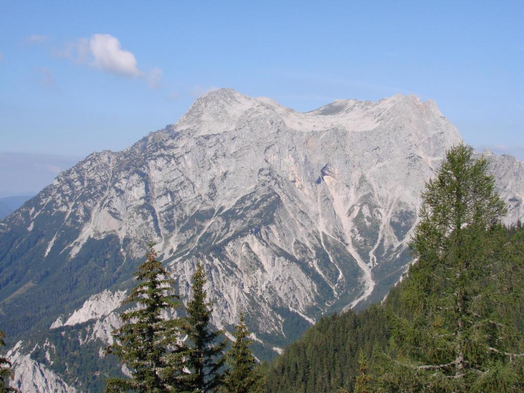 Buchstein