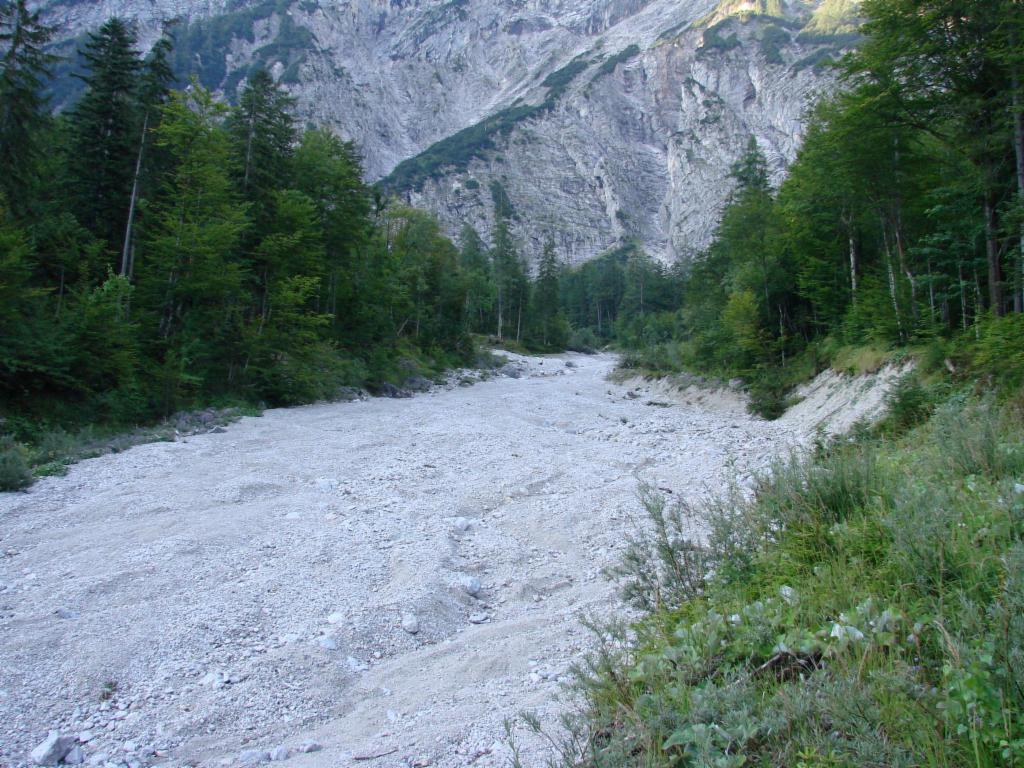 Tamischbach