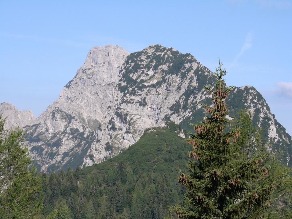 Tieflimauer