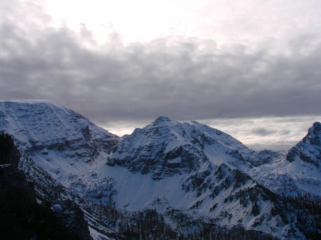Torstein