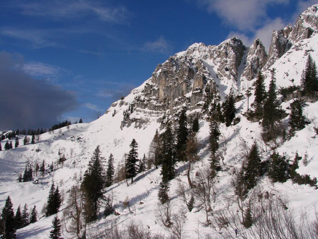 Oberhalb der Grabneralm