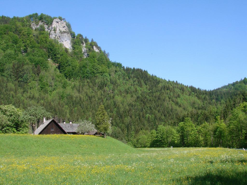 Urmannsau