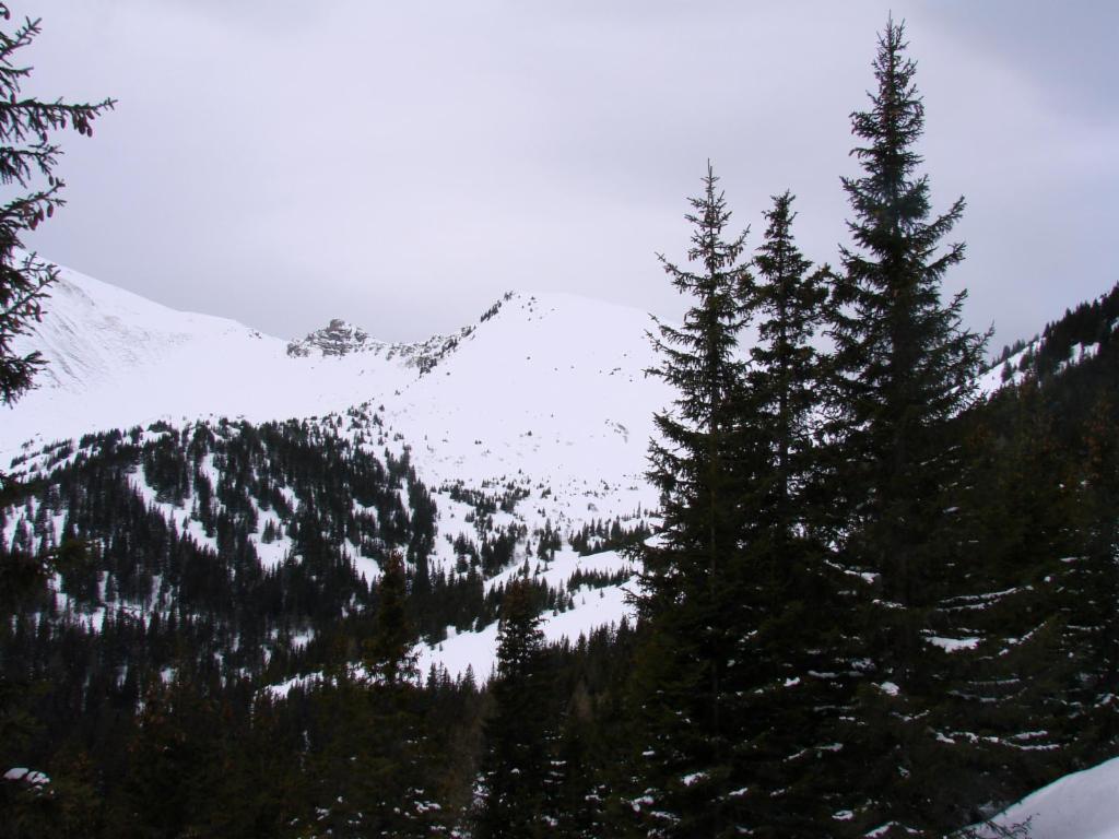 Blick zu Leistenhorn und Silberling