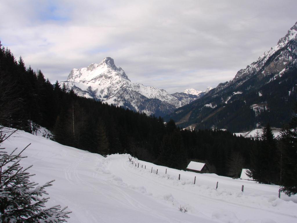 Finsterbergalm mit Reichenstein