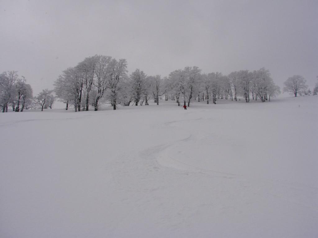 Abfahrtsspur