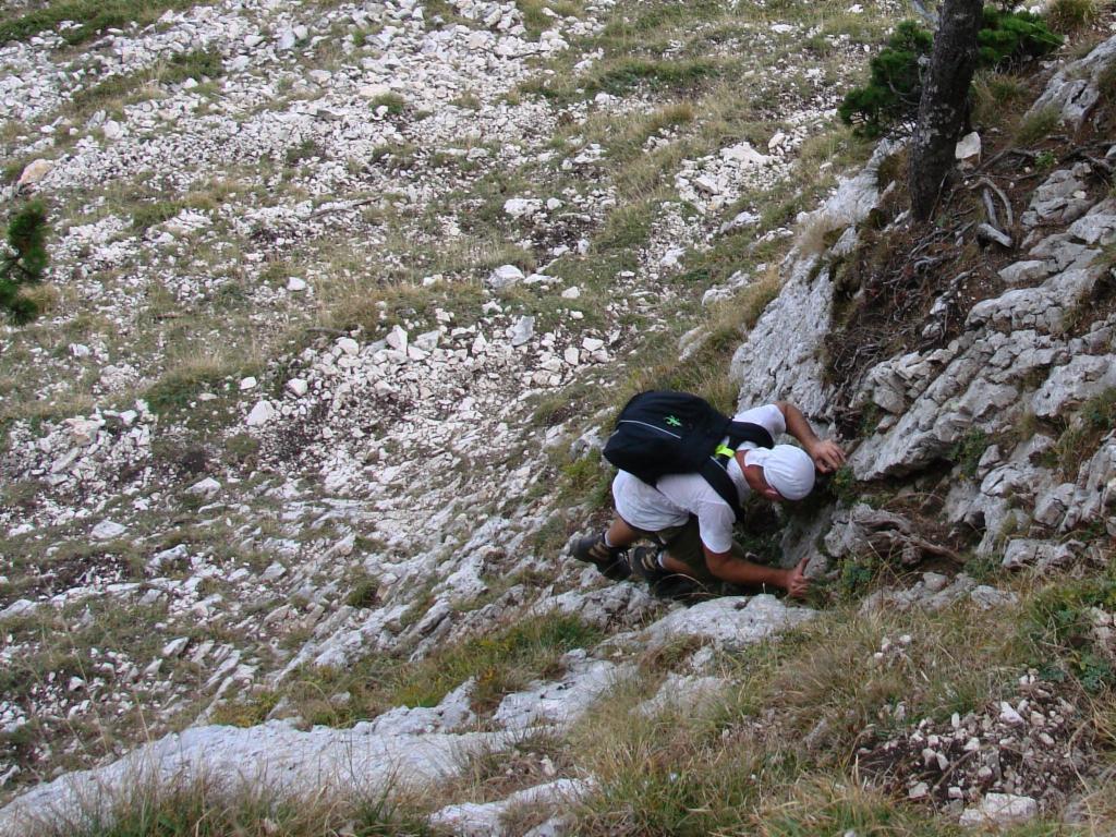 Premier passage de l'escalade à l'entrée du jardin