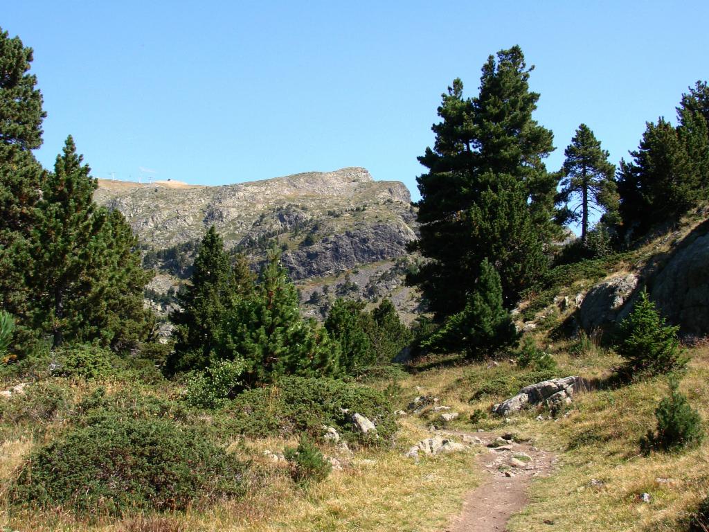 Sentier vers Lac Achard (Chamrousse à l'arrière)